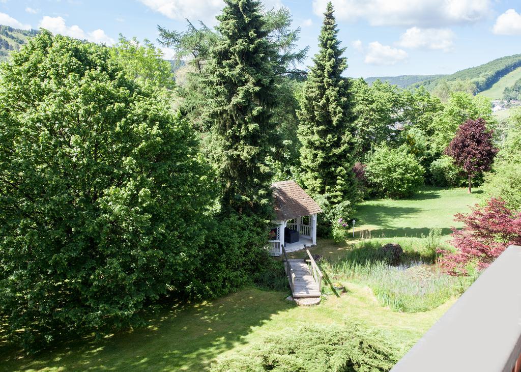 Landhaus Wiesemann Parkappartements & Dependance - Naehe Ettelsberg-Talstation Willingen (Upland) Exterior foto